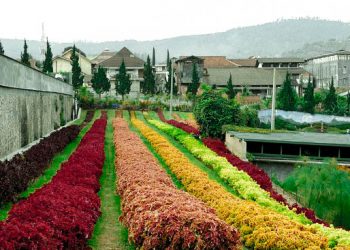7 Wahana Seru Yang Wajib Di Coba Di Floating Market Bandung