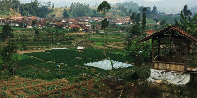 Lebakmuncang, Desa Wisata Ciwidey
