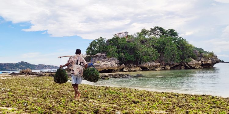 Lokalisasi Gagasan Wild Trip ala Australia Barat