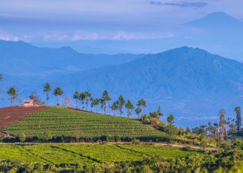 Berkelana ke Wilayah Penutur Bahasa Sunda di Jawa Tengah