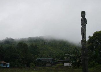 Danum, Ringkasan Bagian 11-22: yang Menentang Sawit, yang Berkebun Sawit