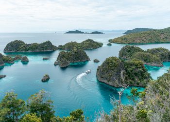 Piaynemo Penyangga Perekonomian Kampung Pam (Babak II, Bagian VI)